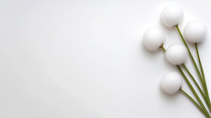 Delicate white decorative orbs on slender green stems against a soft background