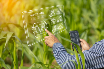 Smart Farm Technology: Farmer Using Digital Holographic Interface in Farm