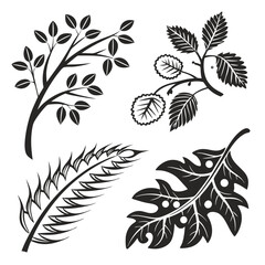 Black botanical leaf branch and feather motifs vector