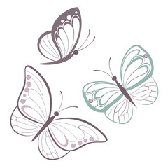 Delicate butterflies with pastel wings and intricate patterns butterfly insect