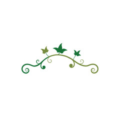 horizontal flourish with ivy tendrils and antique .svg