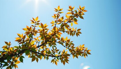Majestic Tree Branch with Vibrant Leaves and Joyful Energy
