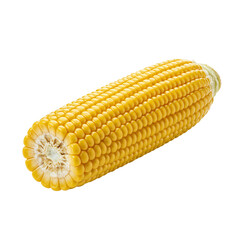 Fresh Yellow Corn on Cob Isolated on Transparent Background
