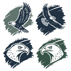 Majestic eagles in flight and profile with textured backgrounds falcon bird
