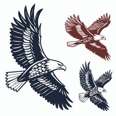 Majestic eagles soaring with detailed wings bird flight