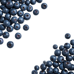Fresh blueberries scattered in a corner isolated on transparent background