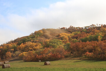 Fototapeta premium Autumn Scenery in Canora Saskatchewan Hills and Beaches.