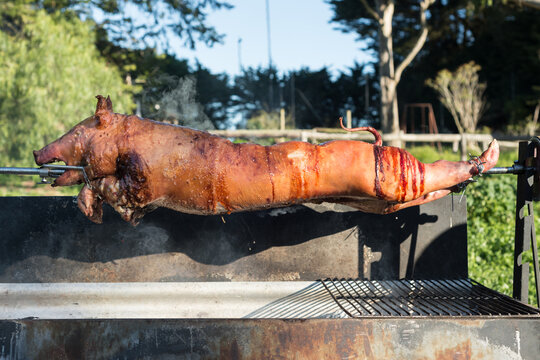 Pig on a spit