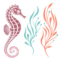 Seahorse and flowing seaweed coral turquoise
