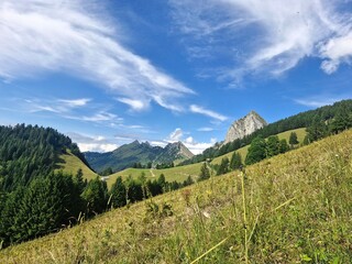 mountain landscape in the summer
