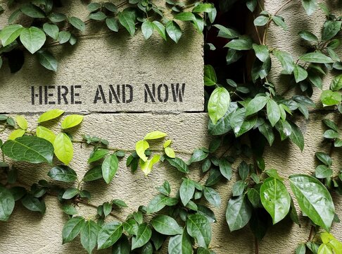 Plant wall with text written HERE AND NOW - refers to present moment, being conscious and mindful of what happening right now than on past or worrying about future