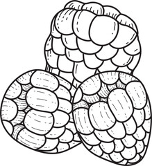 Hand Drawn Custard Apple Fruits Outline Illustration