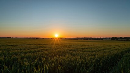 Twilight over an open meadow