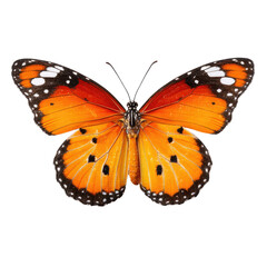 Naklejka premium Close-up of an orange and black butterfly with white spots