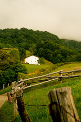rural landscape in the morning