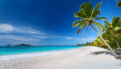 breathtaking tropical scenery palm lined white sand beach endless horizon of blue ocean