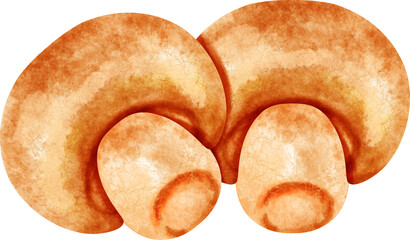 watercolor mushrooms