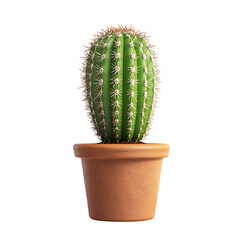 Stunning Potted Cactus A Vibrant Desert Plant On Transparent Background