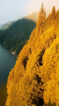 Autumn Forest Edge Overlooking Misty Lake and Mountain Slopes
