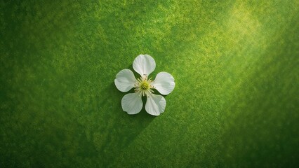 White flower with five petals positioned on vibrant green textured background, emphasizing natural beauty and simplicity.