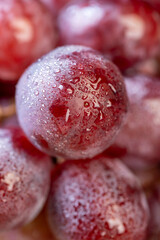 ripe grapes after washing the berries, clean wet grapes safe for eating closeup