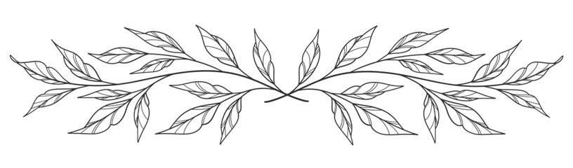 Fototapeta premium Sketch Floral Botany Collection. flower drawings. Black and white with line art on white backgrounds. Hand Drawn Botanical Illustrations.Vector.