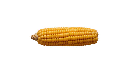 a single corn cob in focus against a dark background. the corn appears fresh and ripe with yellow...