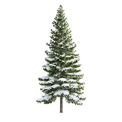 SnowCovered Evergreen Winter Pine Tree Graphic On Transparent Background