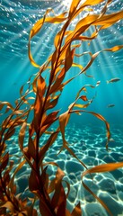 close up of brown kelp underwater with long flowing fronds, sunbeams penetrating shallow ocean water, soft golden light and gentle movement, used in health and skincare products