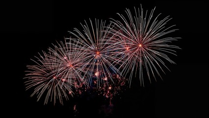Vibrant Firework Show under Dark Sky with Bright Lighting