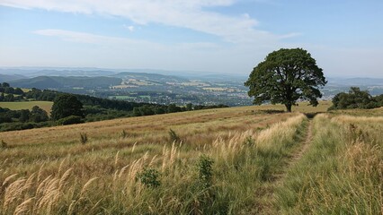 Broad panorama of rural landscapes from the descending hiking path in a central region