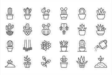 Cacti and Succulent Collection with Hanging Planters for Home and Garden Decor