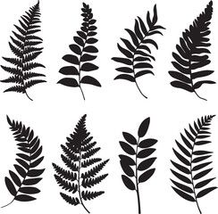 Detailed Fern Silhouette Collection Eight Unique Leaf Designs for Botanical Art and Graphic Resources, Nature Inspired Black Ferns, Illustration