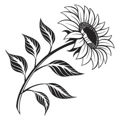 Vector art of a beautiful sunflower with leaves is isolated on white background