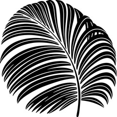 Fototapeta premium Vector art of a tropical palm leaf is isolated on white background