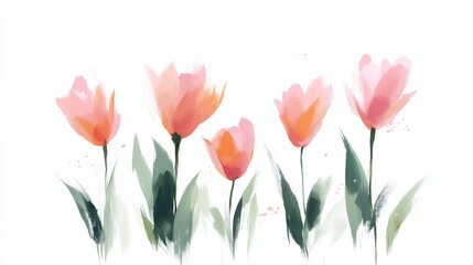 Tulips made with watercolors