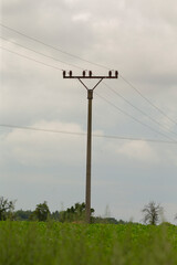 Obraz premium In the center of a vast grassy field stands a solitary telephone pole surrounded by nature, serving as a crucial link for communication