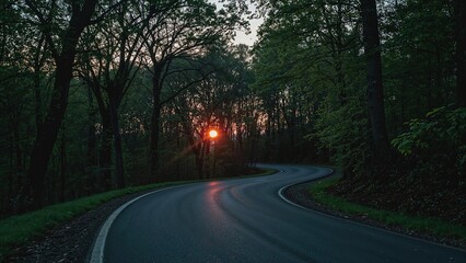 Fototapeta premium Sunset rays shining through the forest along a paved road