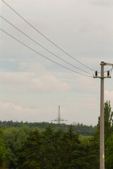 A tall telephone pole with various power lines running through and connecting on it, standing in the middle of a dense forest area