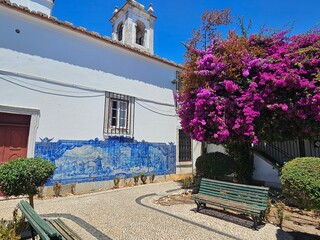 porto, portugal, architecture, blue, mosaic, purple, pink, tree, flower