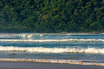 The beach, the forest and the waves in Bertioga on the coast of São Paulo