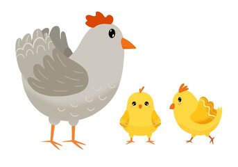 Charming mother hen with her two  chicks on white isolated background