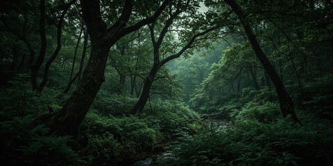 Obraz premium Enchanted deep forest scene with tall curved trees, rich ferns, and dim light, ideal for fantasy backgrounds and nature photography