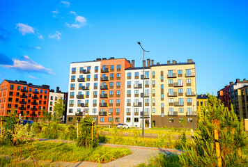 Planting trees, Pine tree at residential complex. Landscaping for urban spaces. New apartment...