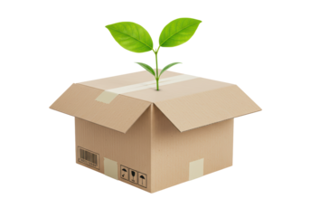 Isolated Cardboard Box with Growing Sprout