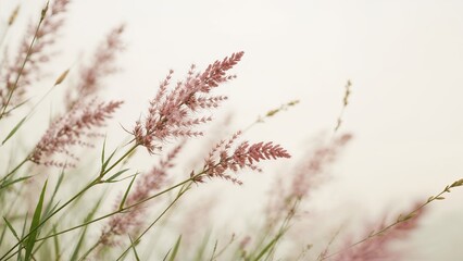 Willow-herb flowers in soft focus with pastel hues against a blurred summer background highlighting nature and plant life.