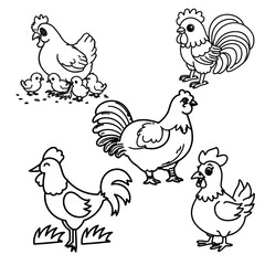 illustration of a group of chickens