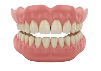 Isolated Set of Complete Dentures