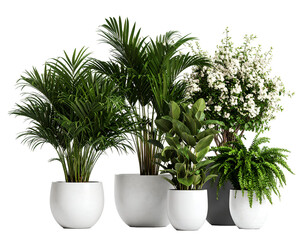 Obraz premium An elegant assortment of healthy green houseplants in modern white pots creates a serene botanical display.