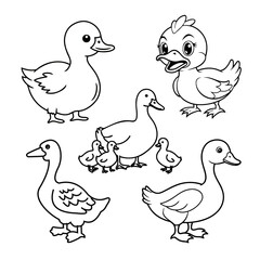 illustration of a group of ducks